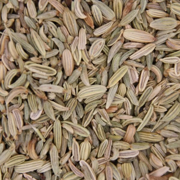 Fenouil
