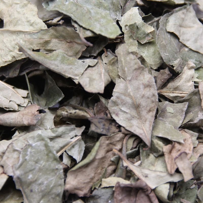 Feuille de Curry ou Kaloupile