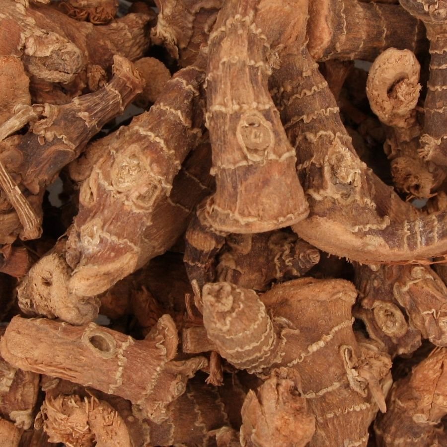 Galanga